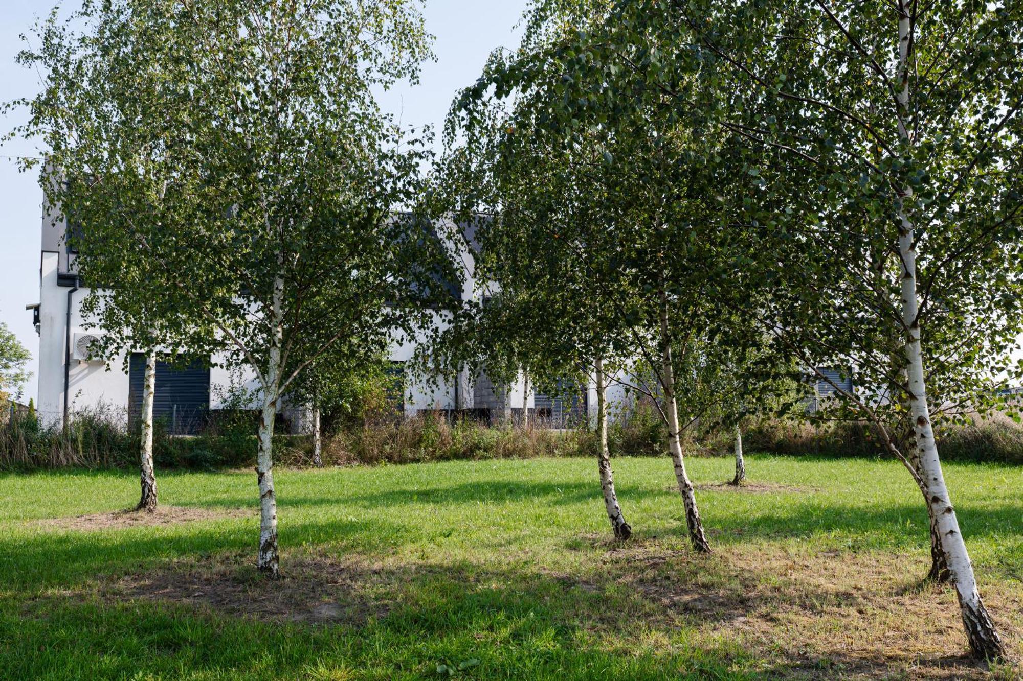 Nowe Apartamenty Ostoja - Nad Baltykiem - Cisza I Piekno Natury Zastan Exterior foto